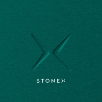 Stonex India Pvt Ltd